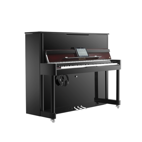 Schneider I Piano product view on a transparent background